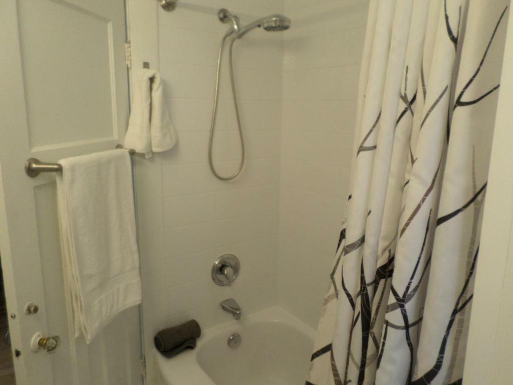 Beautiful, Clean, Quiet 2 Br-In Downtown Ottawa. Parking, Wifi And Netflix Included Lejlighed Eksteriør billede